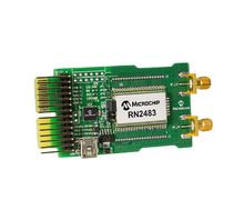 Зображення RN-2483-PICTAIL