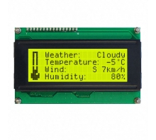 Зображення LCD2041-V
