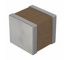 Зображення RF1111X822K500KX102T