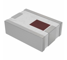 Зображення 2450BP39D100CE