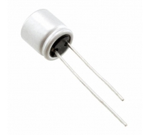 Зображення RS60E561MCN1