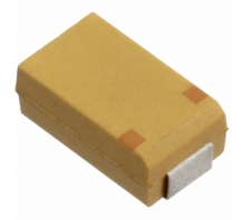 Зображення T513D107K016BH61107505