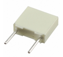 Зображення R82IC2100AA50J