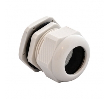 Зображення IPG-22236-G