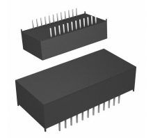 Зображення DS17887-3IND+