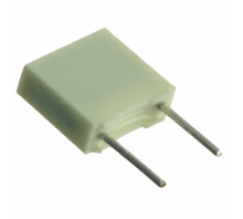 Зображення R82EC1100AA50J