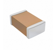 Зображення CL21C7R5DBANNNC