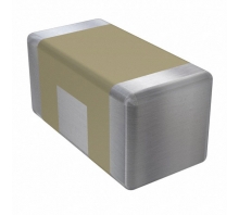 Зображення SBSPP1000101MCT