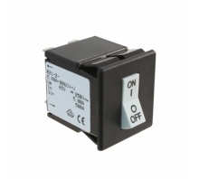 Зображення R21-2REF..S00376396