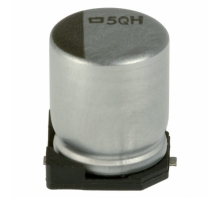 Зображення EMVH250ADA101MF80G