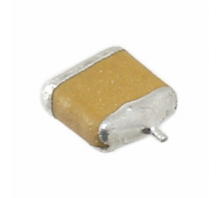 Зображення F950G227MTAAQ2