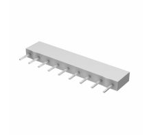 Зображення MSP10A0310R0GEJ
